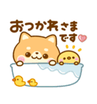 豆柴日和♡まいにち（個別スタンプ：12）