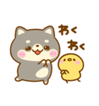 豆柴日和♡まいにち（個別スタンプ：16）