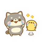 豆柴日和♡まいにち（個別スタンプ：19）