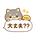 豆柴日和♡まいにち（個別スタンプ：21）