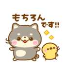 豆柴日和♡まいにち（個別スタンプ：24）