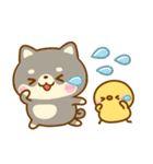 豆柴日和♡まいにち（個別スタンプ：27）