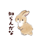 ゆかいなアニマルスタンプ with 関西弁（個別スタンプ：3）