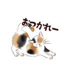 ゆかいなアニマルスタンプ with 関西弁（個別スタンプ：10）