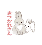 ゆかいなアニマルスタンプ with 関西弁（個別スタンプ：11）