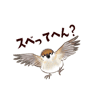 ゆかいなアニマルスタンプ with 関西弁（個別スタンプ：28）