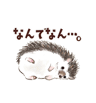 ゆかいなアニマルスタンプ with 関西弁（個別スタンプ：35）