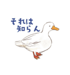 ゆかいなアニマルスタンプ with 関西弁（個別スタンプ：37）