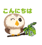 年中使える★フクロウ（個別スタンプ：8）