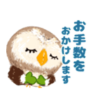 年中使える★フクロウ（個別スタンプ：12）
