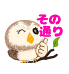 年中使える★フクロウ（個別スタンプ：20）