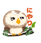 年中使える★フクロウ（個別スタンプ：24）
