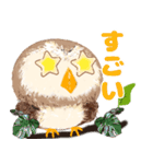 年中使える★フクロウ（個別スタンプ：25）
