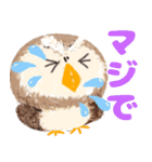 年中使える★フクロウ（個別スタンプ：30）
