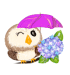 年中使える★フクロウ（個別スタンプ：35）