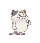 猫、無言の圧（個別スタンプ：1）