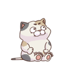 猫、無言の圧（個別スタンプ：3）