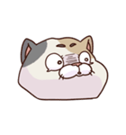 猫、無言の圧（個別スタンプ：5）
