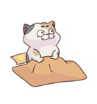 猫、無言の圧（個別スタンプ：6）