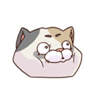 猫、無言の圧（個別スタンプ：8）