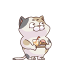猫、無言の圧（個別スタンプ：10）