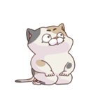 猫、無言の圧（個別スタンプ：11）