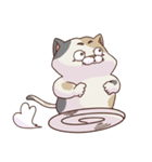猫、無言の圧（個別スタンプ：12）