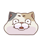 猫、無言の圧（個別スタンプ：13）