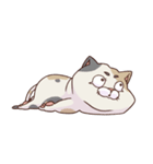 猫、無言の圧（個別スタンプ：17）