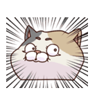 猫、無言の圧（個別スタンプ：18）
