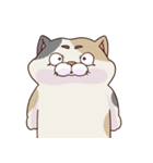 猫、無言の圧（個別スタンプ：19）