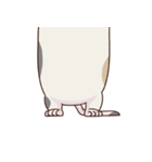 猫、無言の圧（個別スタンプ：21）