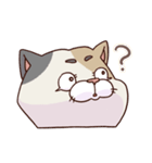 猫、無言の圧（個別スタンプ：22）