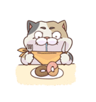 猫、無言の圧（個別スタンプ：23）