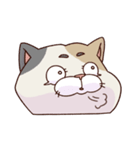 猫、無言の圧（個別スタンプ：26）