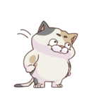 猫、無言の圧（個別スタンプ：27）