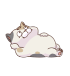 猫、無言の圧（個別スタンプ：28）