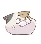 猫、無言の圧（個別スタンプ：29）