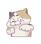 猫、無言の圧（個別スタンプ：34）