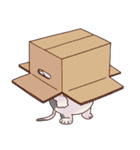猫、無言の圧（個別スタンプ：38）