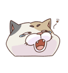 猫、無言の圧（個別スタンプ：39）