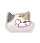 猫、無言の圧（個別スタンプ：40）