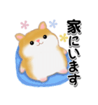 家族の連絡ハムスター「ハムたん」【再販】（個別スタンプ：10）