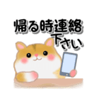 家族の連絡ハムスター「ハムたん」【再販】（個別スタンプ：24）