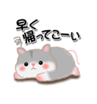 家族の連絡ハムスター「ハムたん」【再販】（個別スタンプ：31）