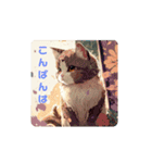 ニャンニーズ①（個別スタンプ：1）