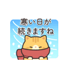 茶トラ猫の飛び出すスタンプ(やや冬)（個別スタンプ：16）
