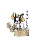 ふれぶるいっちゃんのほっこりスタンプ（個別スタンプ：1）