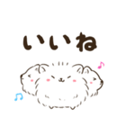 もふもふポメベロスさん（個別スタンプ：20）