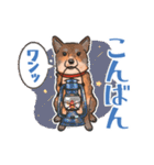 柴犬のコタロー日常スタンプ（個別スタンプ：4）